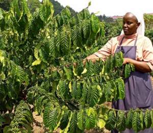 My journey through the ASEC Program from 2023 to 2024