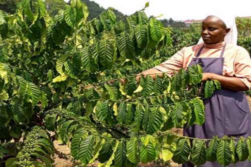 My journey through the ASEC Program from 2023 to 2024