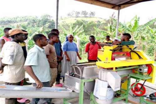 Banyatereza Coffee: Brewing Change Through Sustainable Agriculture